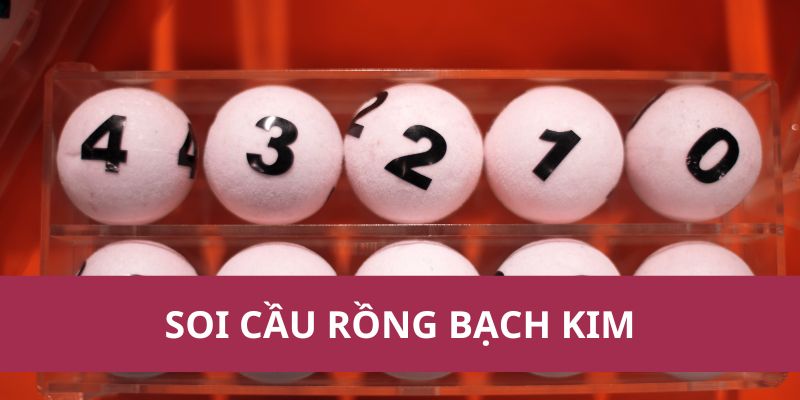 soi cau rong bach kim 1